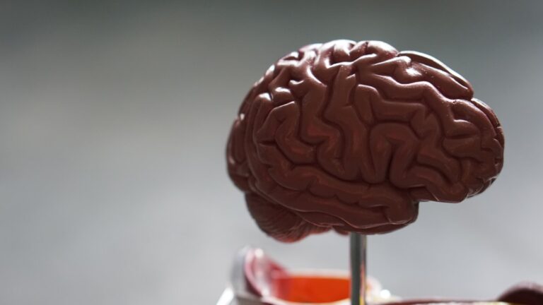 New FDA Approval Brings Hope for Alzheimer’s Patients with Innovative Treatment